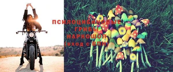стафф Армянск
