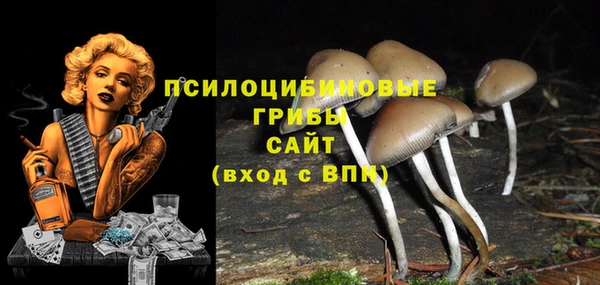 спайс Алексеевка
