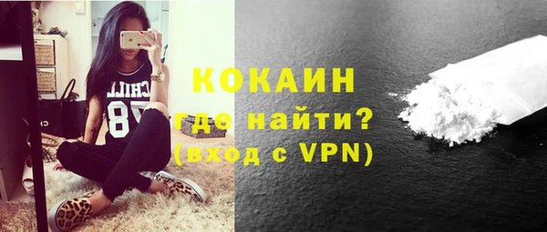 шишки Сатка