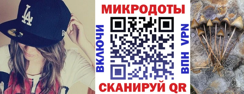 Галлюциногенные грибы мухоморы  Саров 